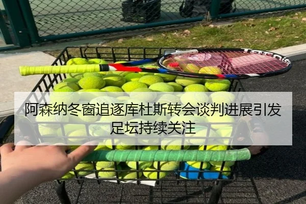 阿森纳冬窗追逐库杜斯转会谈判进展引发足坛持续关注 - IMSPORTS
